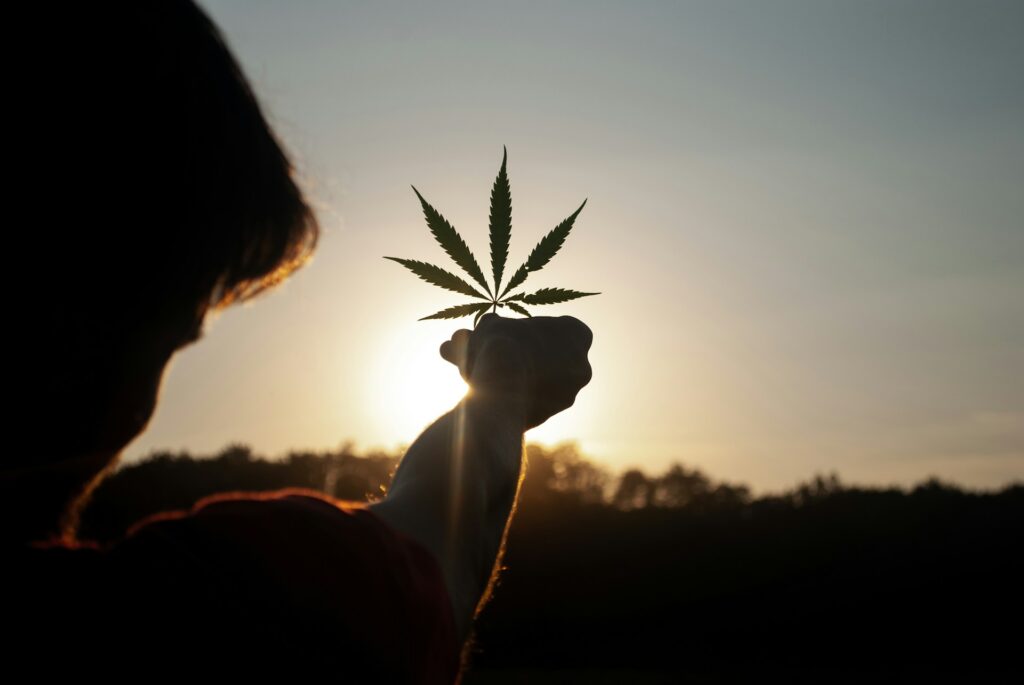 California Cannabis Licensing Consulting