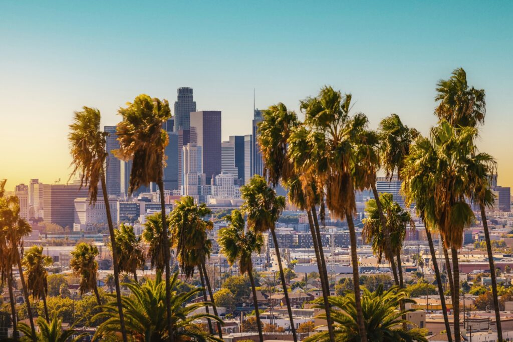 california dispensary license