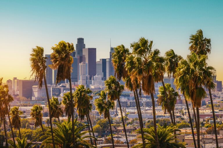 california dispensary license