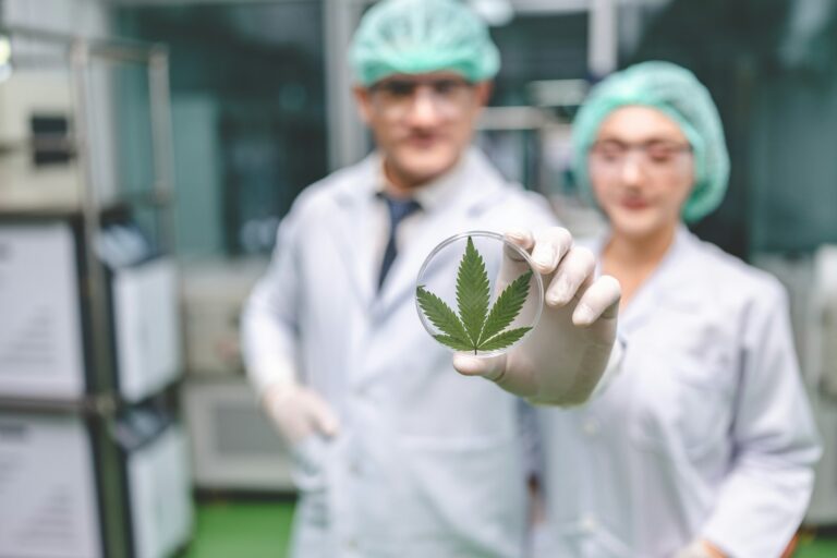 Cannabis Wrongful Termination