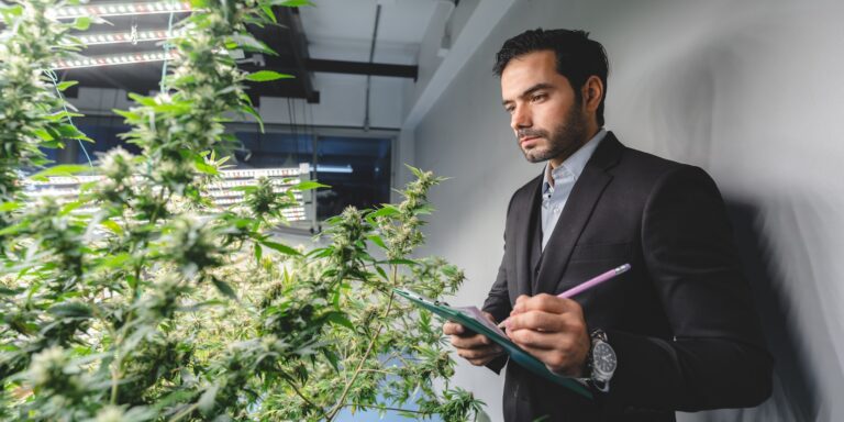 OSHA and Workplace Safety for Cannabis Businesses